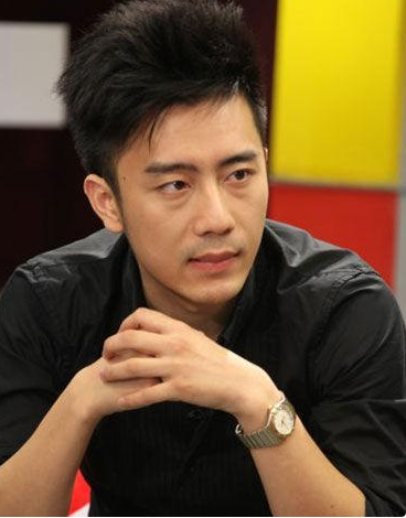 聚美優(yōu)品陳歐 陳歐 中國電商行業(yè)